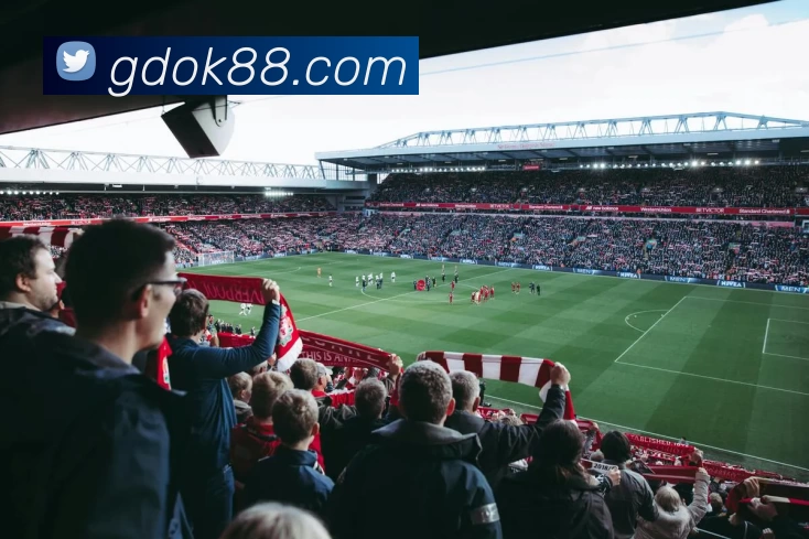 高德娱乐官网平台生态图